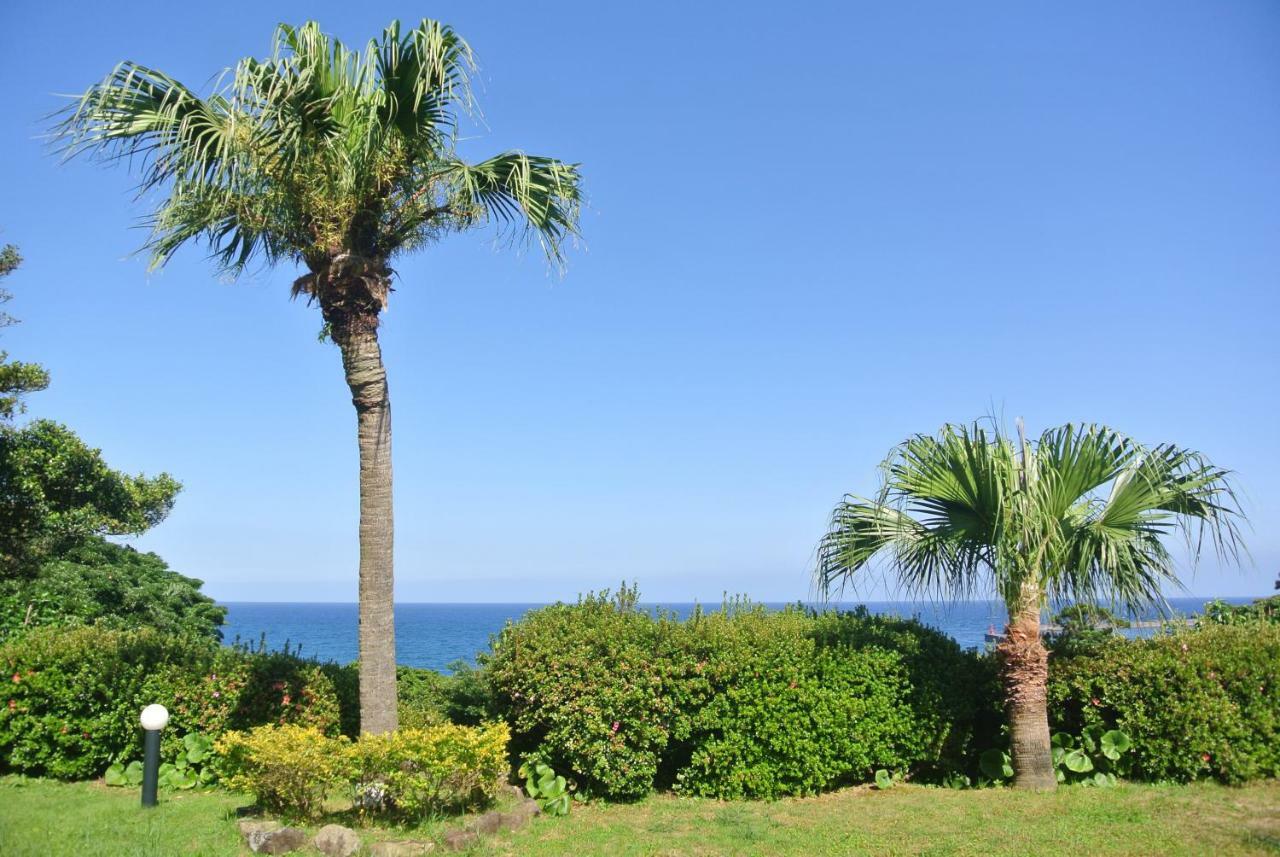 Yakushima Green Hotel Exterior foto